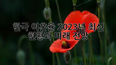 한국 이혼율: 2023년 최신 현황과 미래 전망