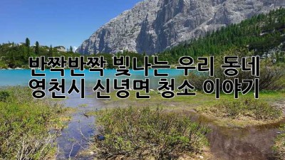 ✨ 반짝반짝 빛나는 우리 동네, 영천시 신녕면 청소 이야기 🏡