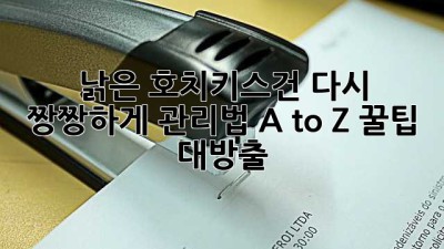 🛠️ 낡은 호치키스건, 다시 짱짱하게! 관리법 A to Z 꿀팁 대방출!